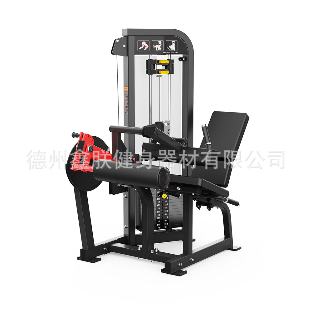 Gym Hammer Strength Equipment  - Home Gym Leg Extension Machine recensie en prijs