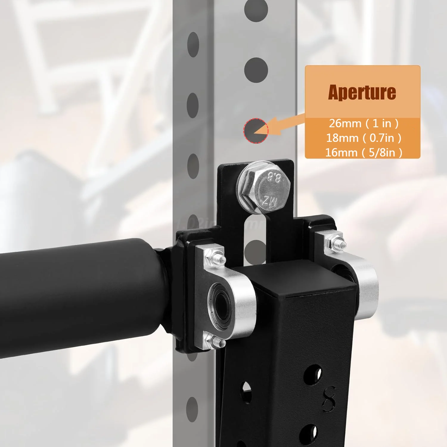 Seated Leg Extension and Curl  - Home Gym Leg Extension Machine recensie en prijs