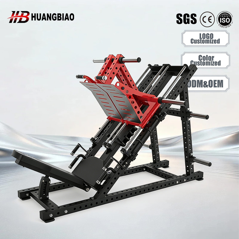Home And Commercial Gym Leg Ex - Home Gym Leg Extension Machine recensie en prijs