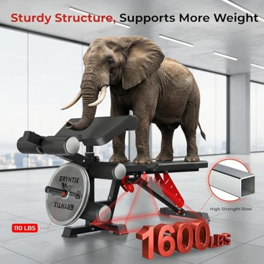 Home gym leg extension and cur - Home Gym Leg Extension Machine recensie en prijs