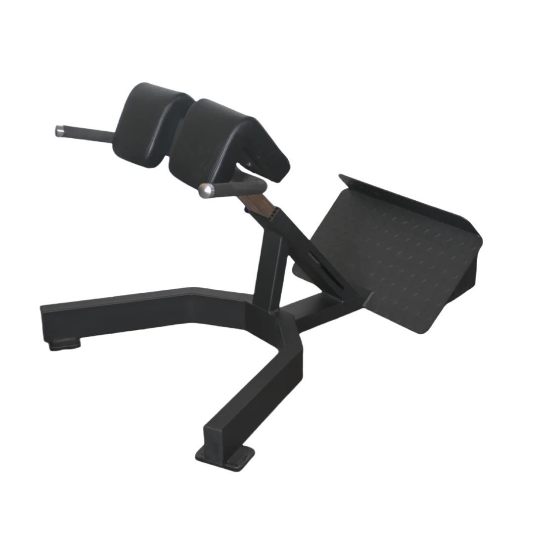 Factory Price Roman Chair Back - Home Gym Leg Extension Machine recensie en prijs